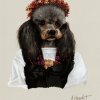Miss frisette